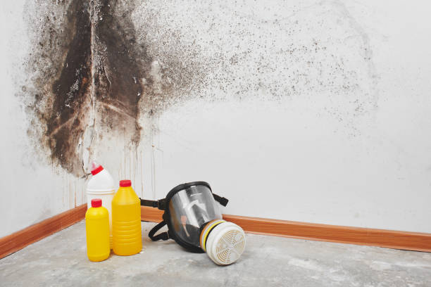 Water Damage Restoration in Stoneville, NC