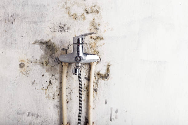 Best Office Mold Removal Services  in Stoneville, NC