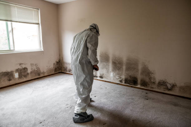 Best Crawl Space Mold Removal  in Stoneville, NC